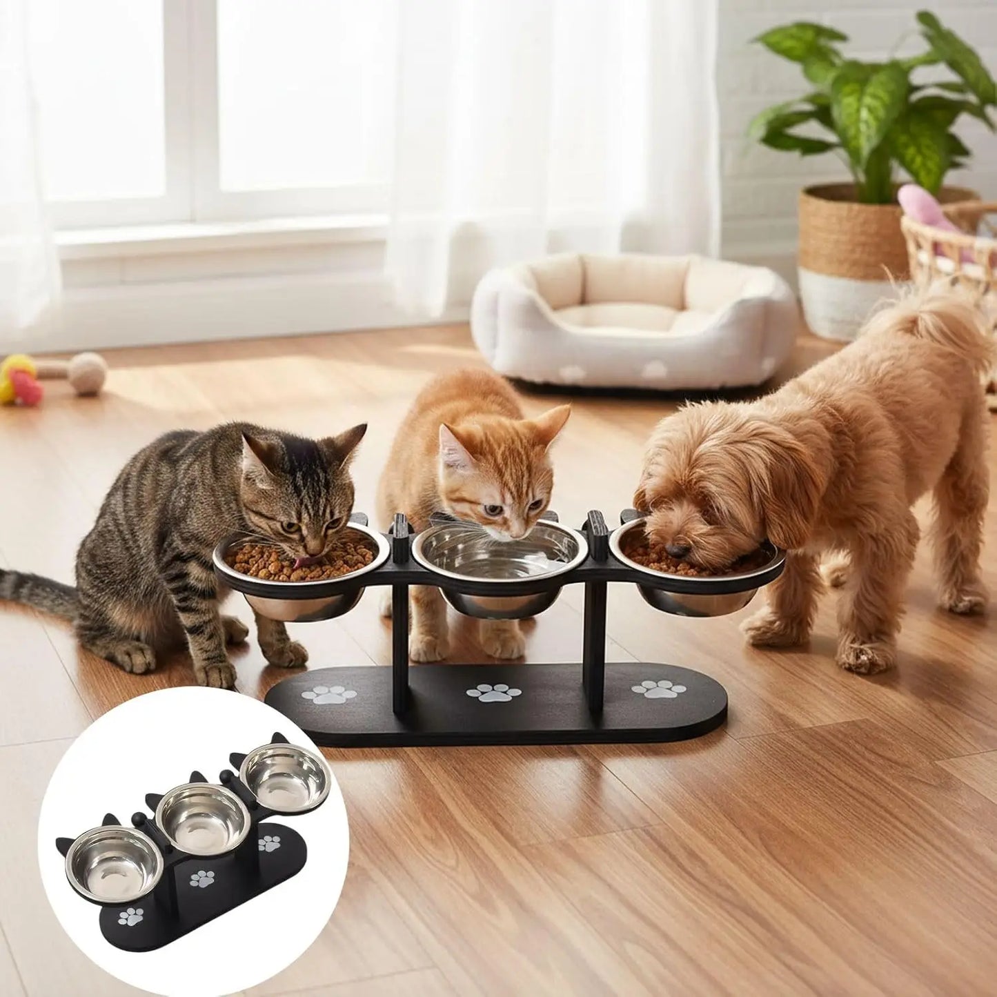 Elevated Cat Bowl with Wooden Stand – 15° Tilted Stainless Steel Food & Water Feeder