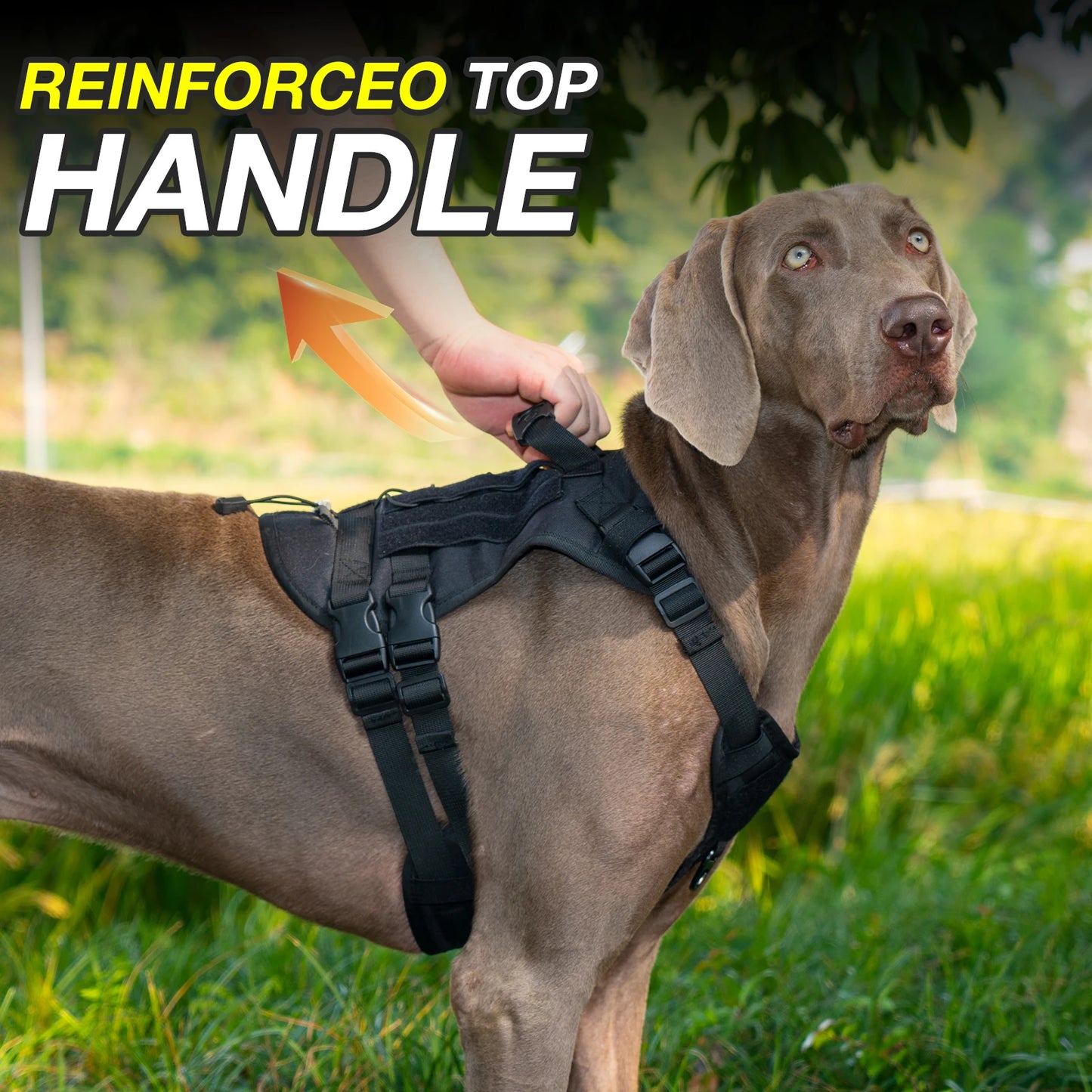 Tactical Dog Harness for Large Dogs – Heavy-Duty Anti-Slip Outdoor Walking Vest