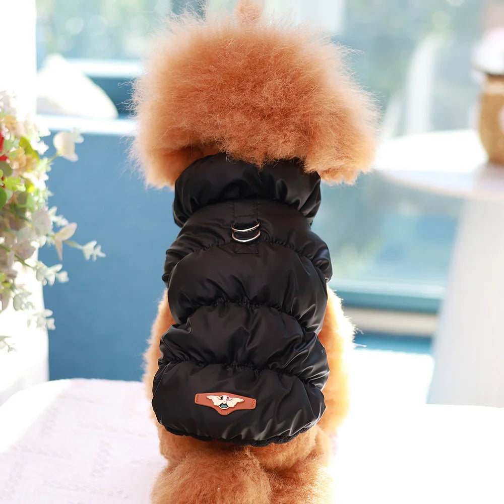 Warm Padded Dog Jacket – Soft Winter Coat for Small & Medium Dogs (Chihuahua, French Bulldog, Poodle)