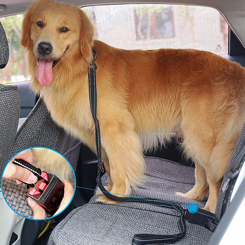 Multifunction Retractable Dog Leash – Reflective Nylon Lead with Car Safety Buckle