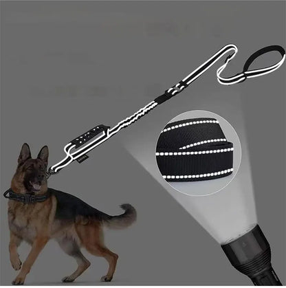 Multifunction Retractable Dog Leash – Reflective Nylon Lead with Car Safety Buckle