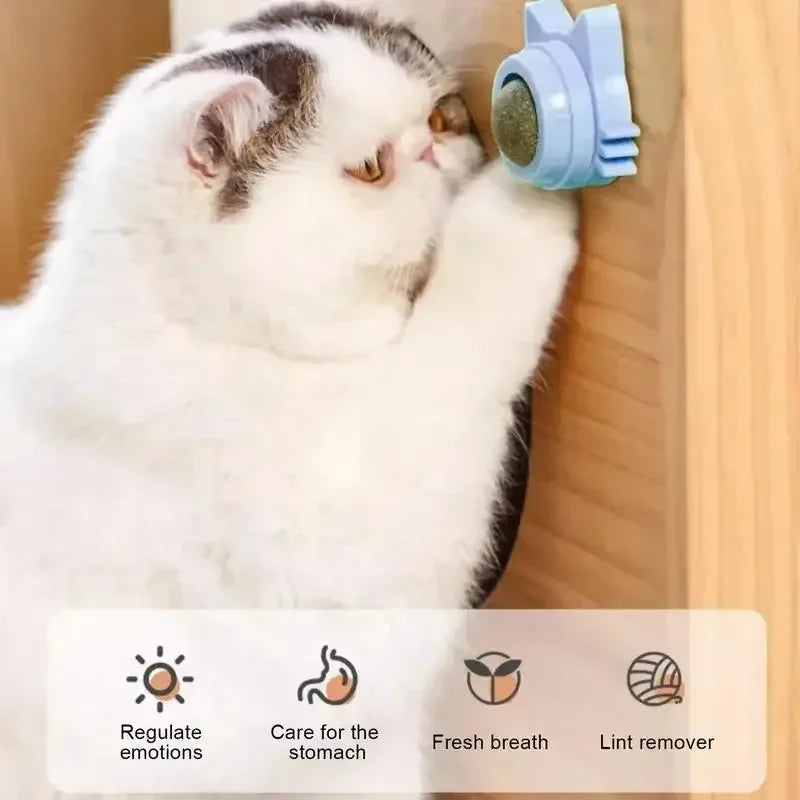 Natürliches Katzenminze-Spielzeug für Katzen – drehbare Katzenminze zum Aufkleben an der Wand, mit Saugnapf, Leckerlis, gesund, entfernt Fellknäuel, Katzenminze-Spielzeug