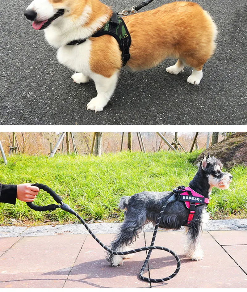 Heavy-Duty Reflective Dog Leash 150/200/300cm – Strong Anti-Pull Lead for Small & Large Dogs