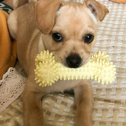 TPR Knot Chew Toy for Small Dogs – Durable Bite-Resistant Dental Cleaning & Training Toy