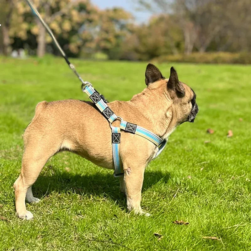 Dog Training Leash 2m Long Pet Lead Non-Slip Rubber Nylon Training Walking Rope Work Dog Leashes For Small Medium Large Big Dogs