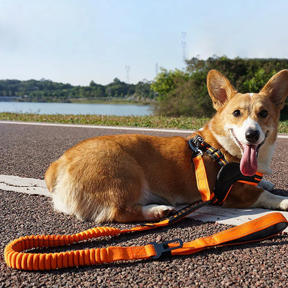 Multifunction Retractable Dog Leash – Reflective Nylon Lead with Car Safety Buckle