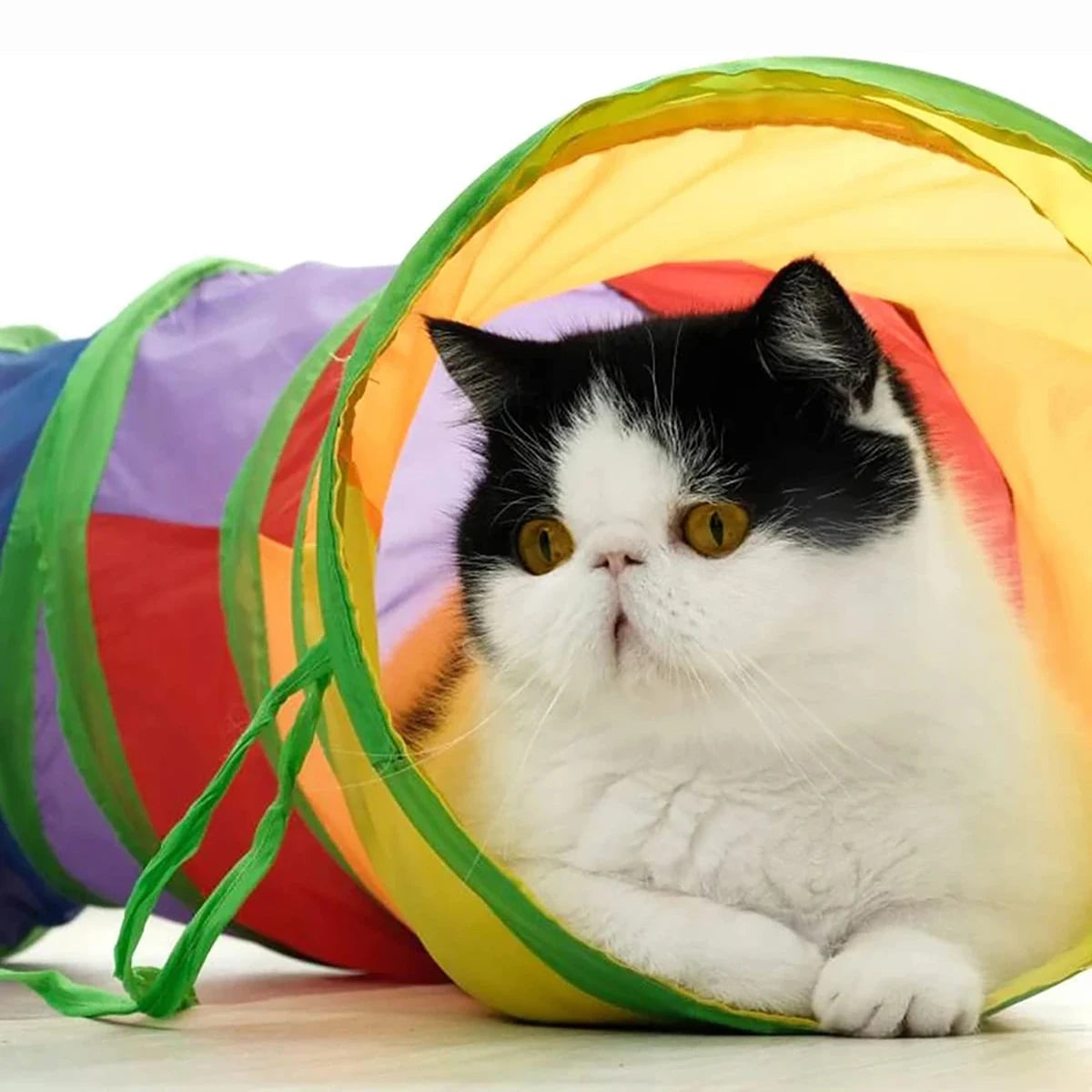Foldable Cat Tunnel Toy – Interactive Play Tunnel for Kittens & Cats