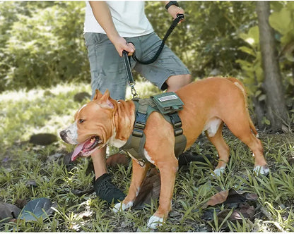 Multifunction Retractable Dog Leash – Reflective Nylon Lead with Car Safety Buckle