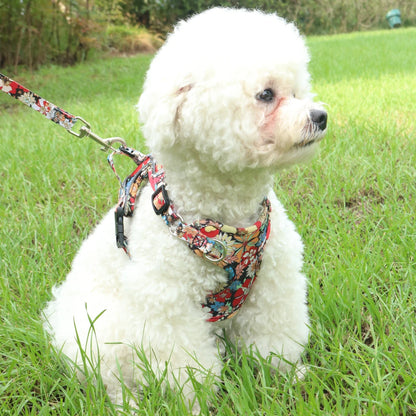 Adjustable Dog & Cat Harness Set – Soft Vest with Leash, Cute Design for Small Pets