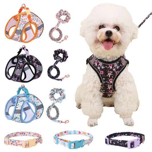 Adjustable Dog & Cat Harness Set – Soft Vest with Leash, Cute Design for Small Pets