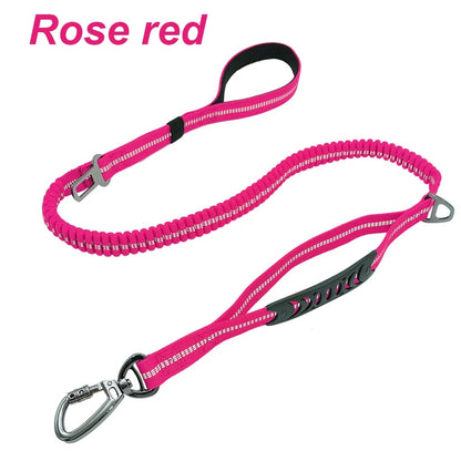 Multifunction Retractable Dog Leash – Reflective Nylon Lead with Car Safety Buckle