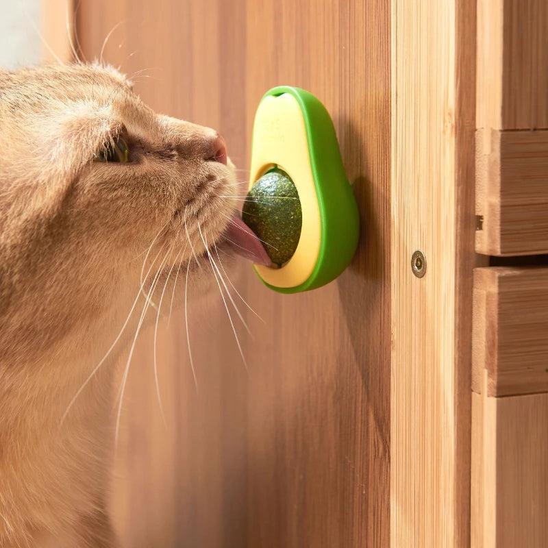 Natural Catnip Wall Ball Toy – Rotating Dental Cleaning & Scratching Toy for Cats