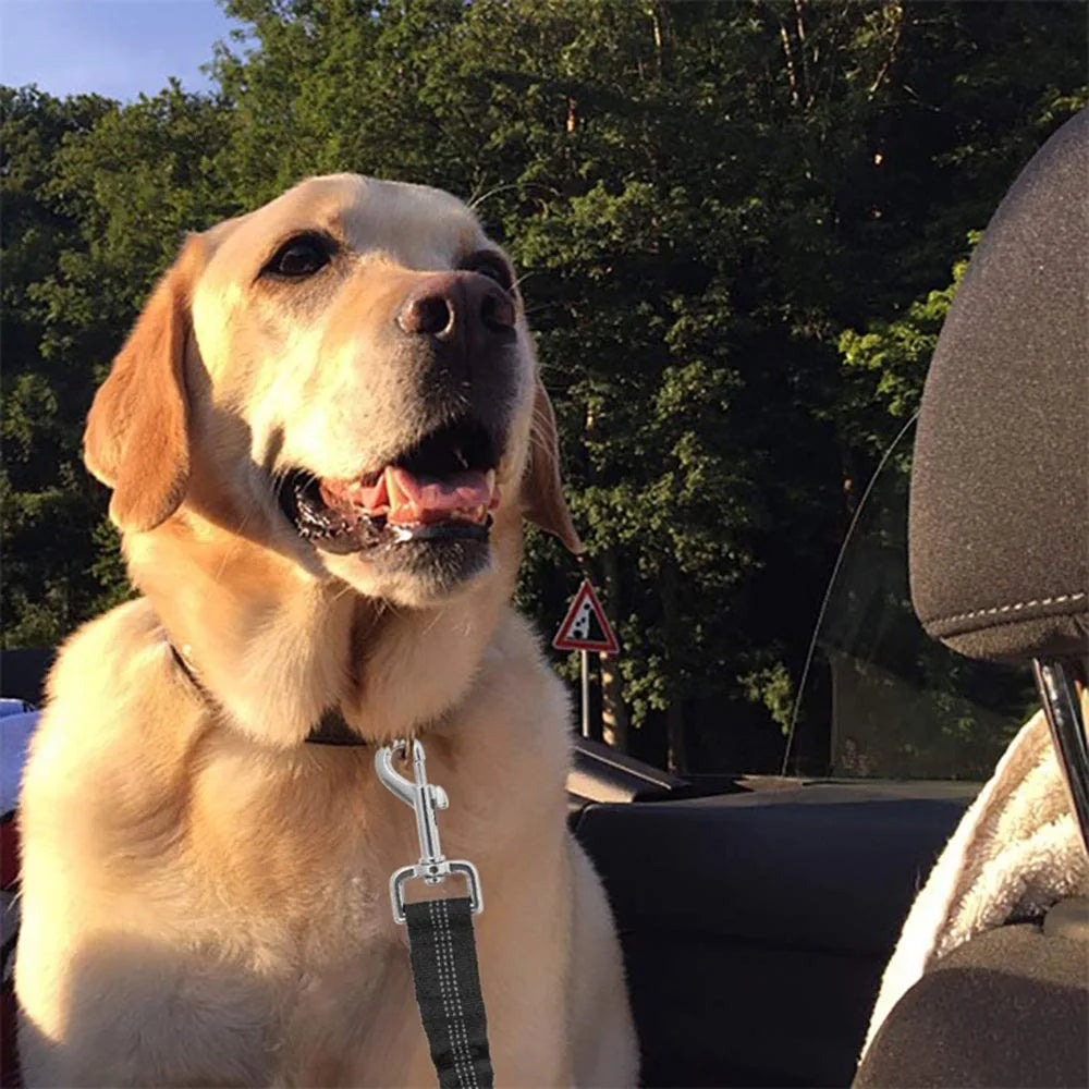 Adjustable Reflective Dog Car Seat Belt Harness – Elastic Shock-Absorbing Travel Safety Strap