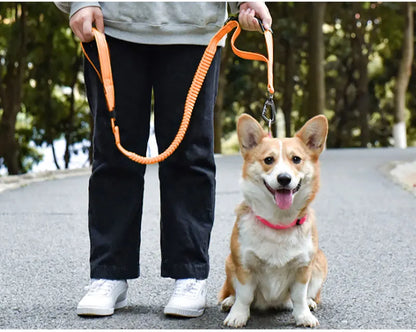 Multifunction Retractable Dog Leash – Reflective Nylon Lead with Car Safety Buckle