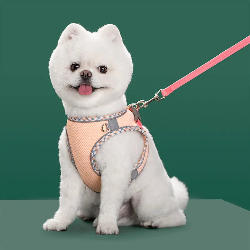 Reflective Dog & Cat Harness and Leash Set – Adjustable Vest for Small & Medium Pets (Chihuahua, Yorkie)
