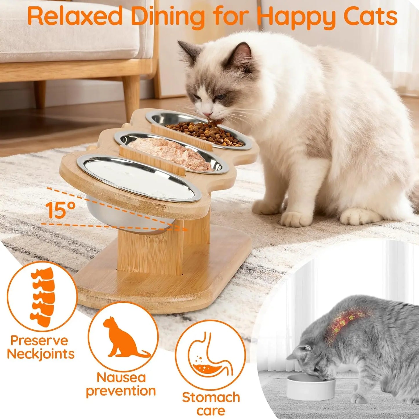 Elevated Cat Bowls with Wooden Stand – 3 Stainless Steel Feeding & Water Bowls for Cats & Puppies
