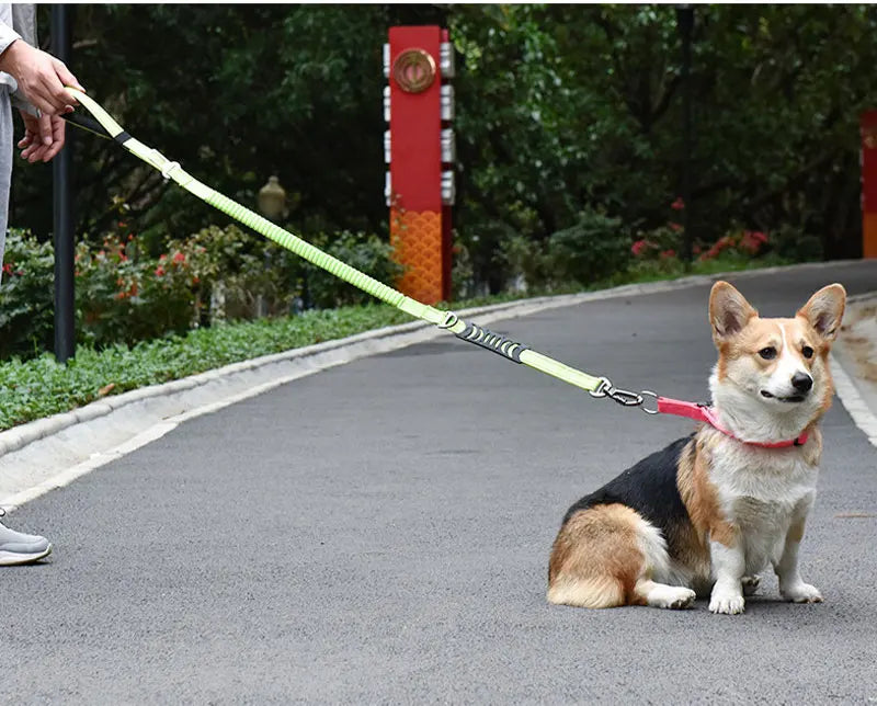 Multifunction Retractable Dog Leash – Reflective Nylon Lead with Car Safety Buckle