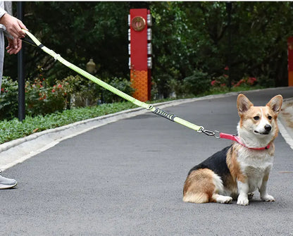 Multifunction Retractable Dog Leash – Reflective Nylon Lead with Car Safety Buckle
