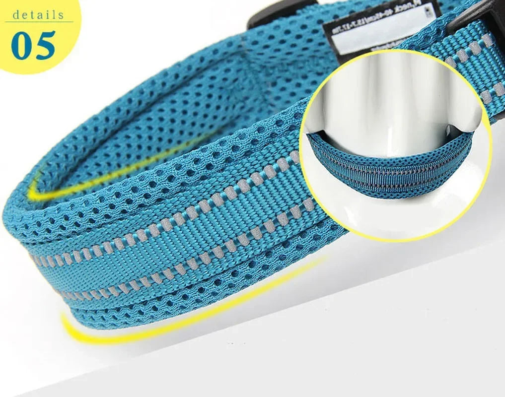 Truelove Reflective Dog Collar – Adjustable Padded Nylon Collar for All Breeds & Sizes