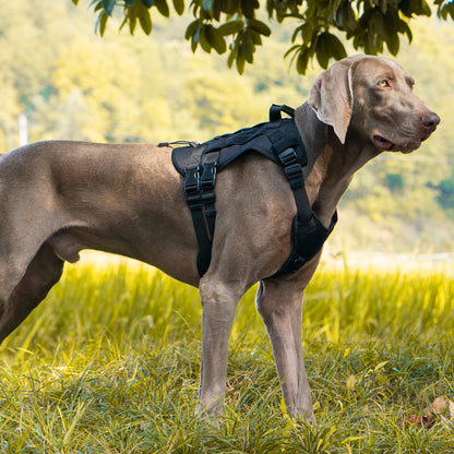 Tactical Dog Harness for Large Dogs – Heavy-Duty Anti-Slip Outdoor Walking Vest