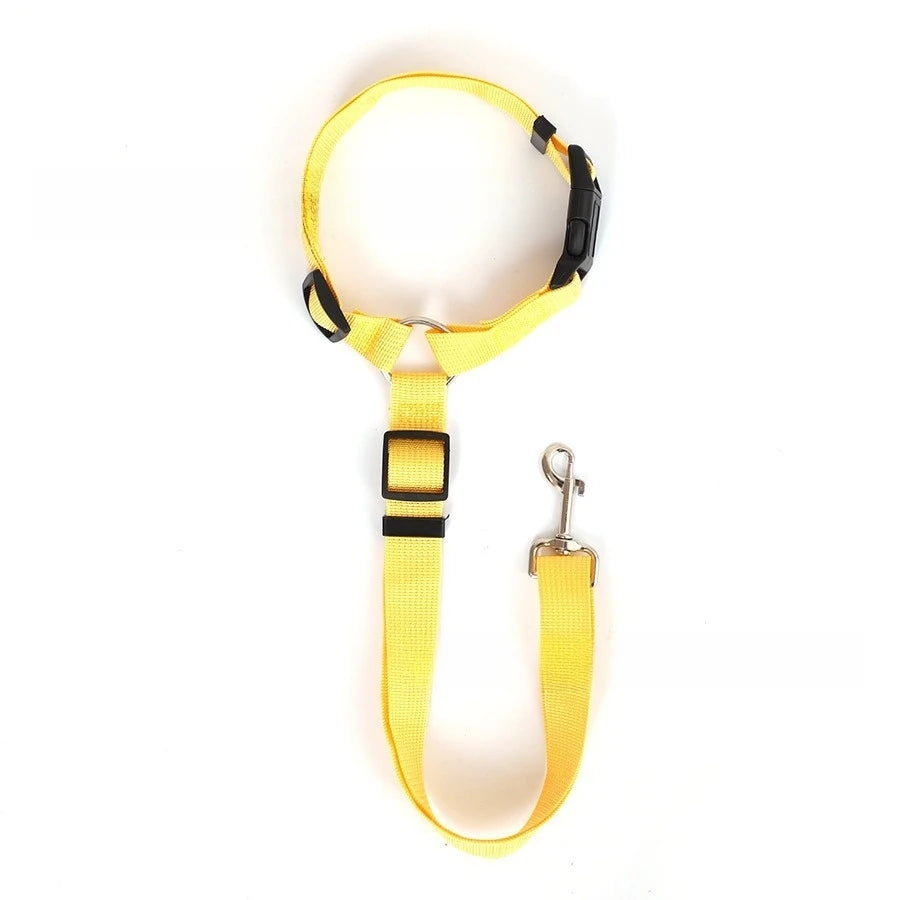 2-in-1 Adjustable Pet Car Seat Belt & Leash – Safety Harness for Dogs, Durable Nylon Lead