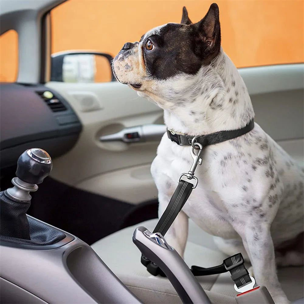 Adjustable Reflective Dog Car Seat Belt Harness – Elastic Shock-Absorbing Travel Safety Strap