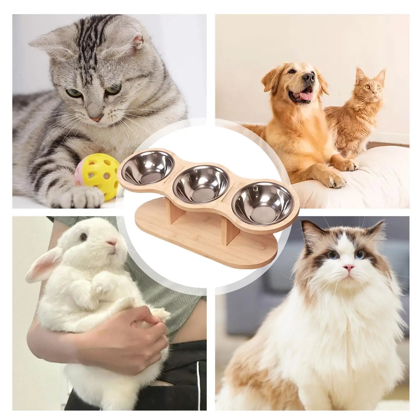 Elevated Cat Bowls with Wooden Stand – 3 Stainless Steel Feeding & Water Bowls for Cats & Puppies